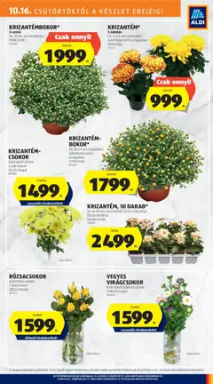 Aldi Akciós újság - amely érvényes a következő dátumtól: 16.10.2025 | Oldal: 27 | Termékek: Virágok, Váza