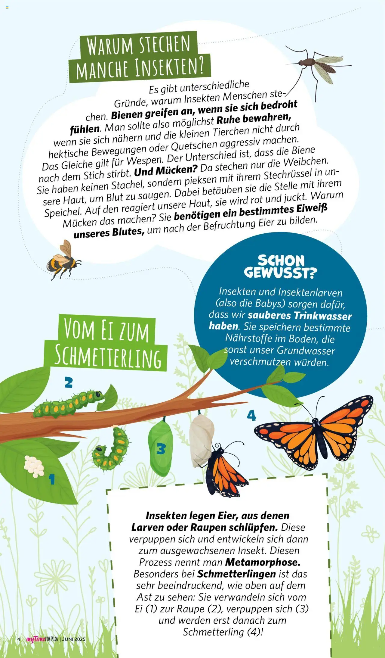 Combi - myTime Juni 2025 - gültig ab dem 01.06.2025 | Seite: 80 | Produkte: Eier