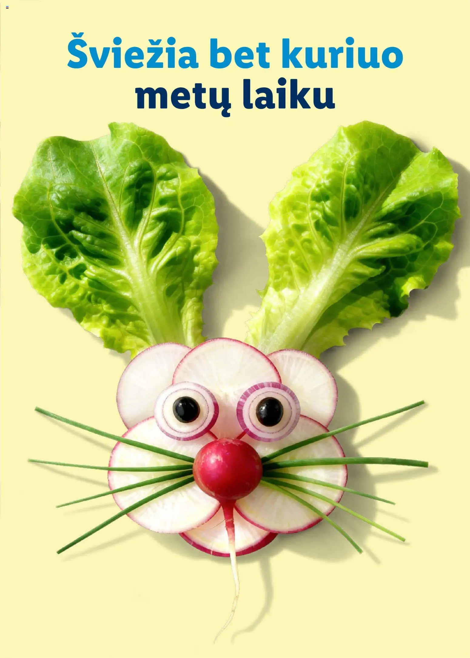 LIDL akcijos nuo 01.03.2026 | Puslapis: 87