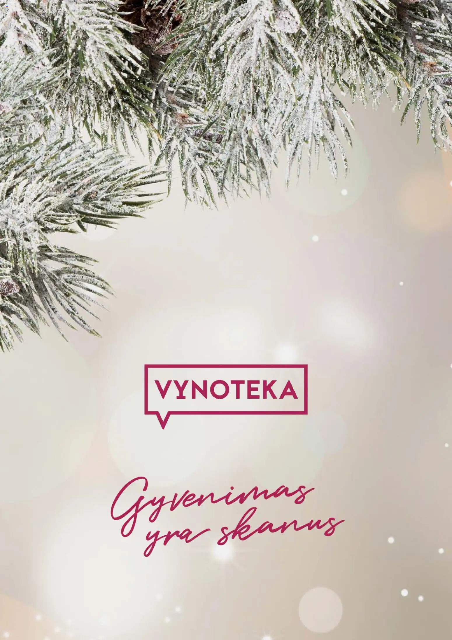 VYNOTEKA akcijos nuo 03.11.2025 | Puslapis: 26