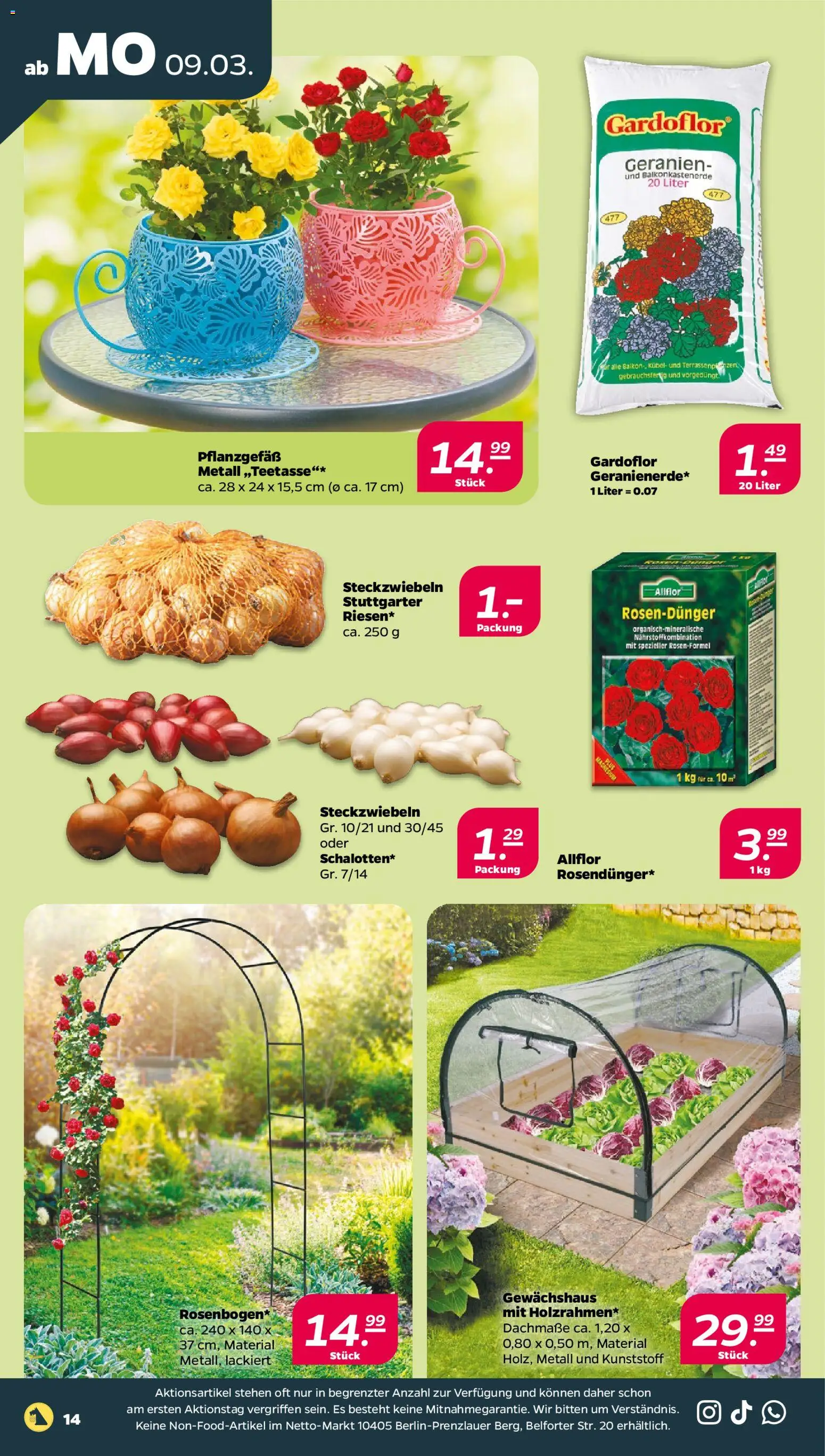 Netto Prospekt 	 – gültig ab 09.03.2026 | Seite: 20 | Produkte: Geranien