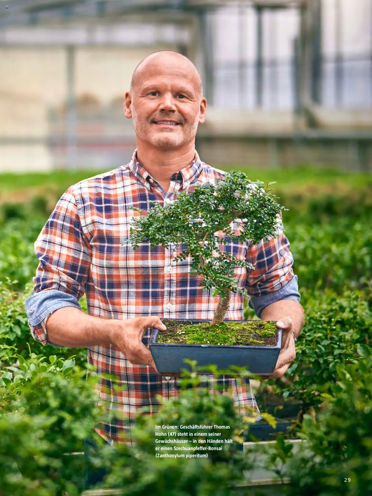 Bauhaus Passt! gültig ab 01.10.2025 | Seite: 29