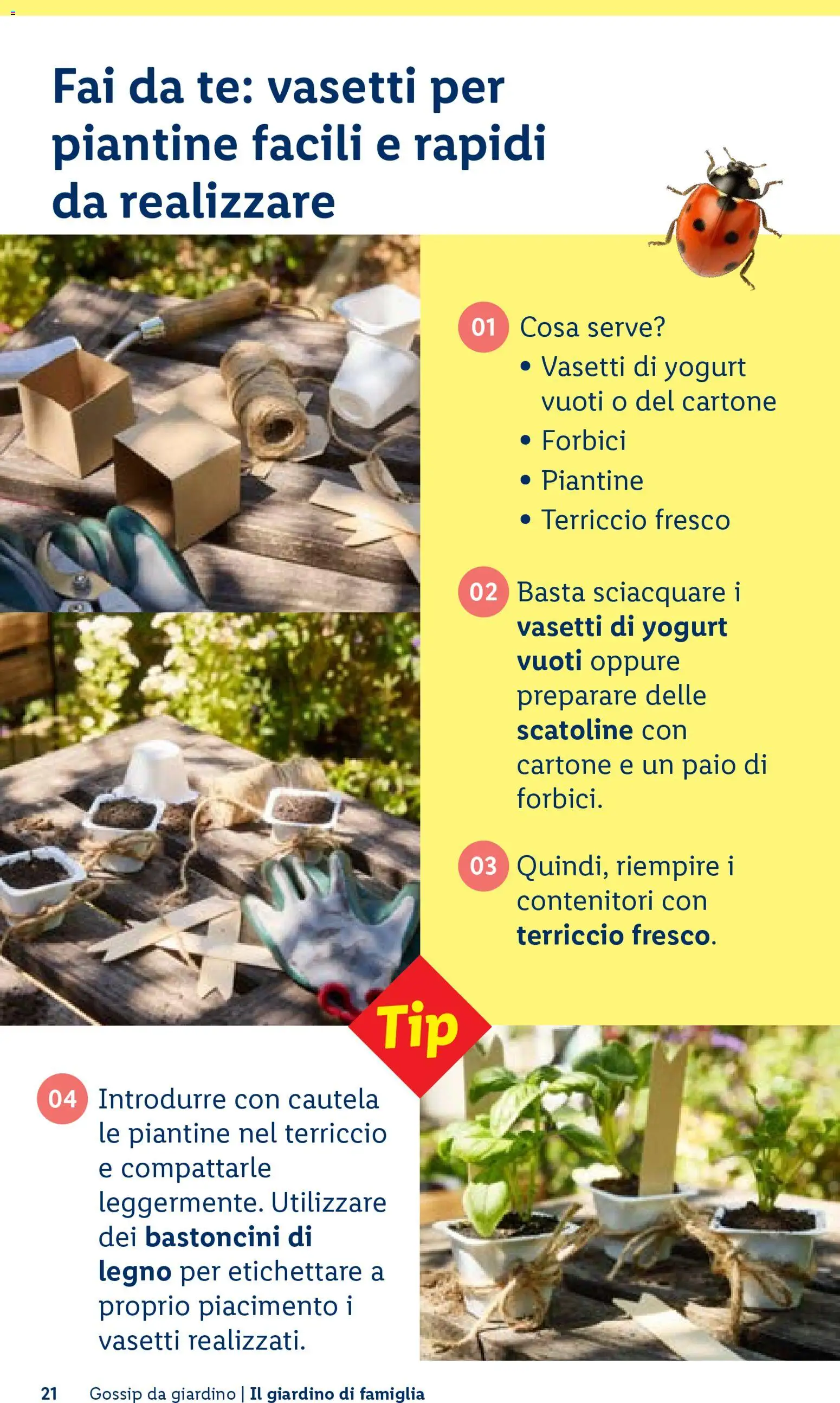 Volantino Lidl del 23.04.2026 | Pagina: 21 | Prodotti: Yogurt, Tè, Terriccio