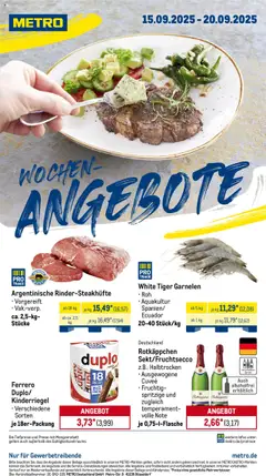 Metro Prospekt 	 ab 15.09.2025 gültig