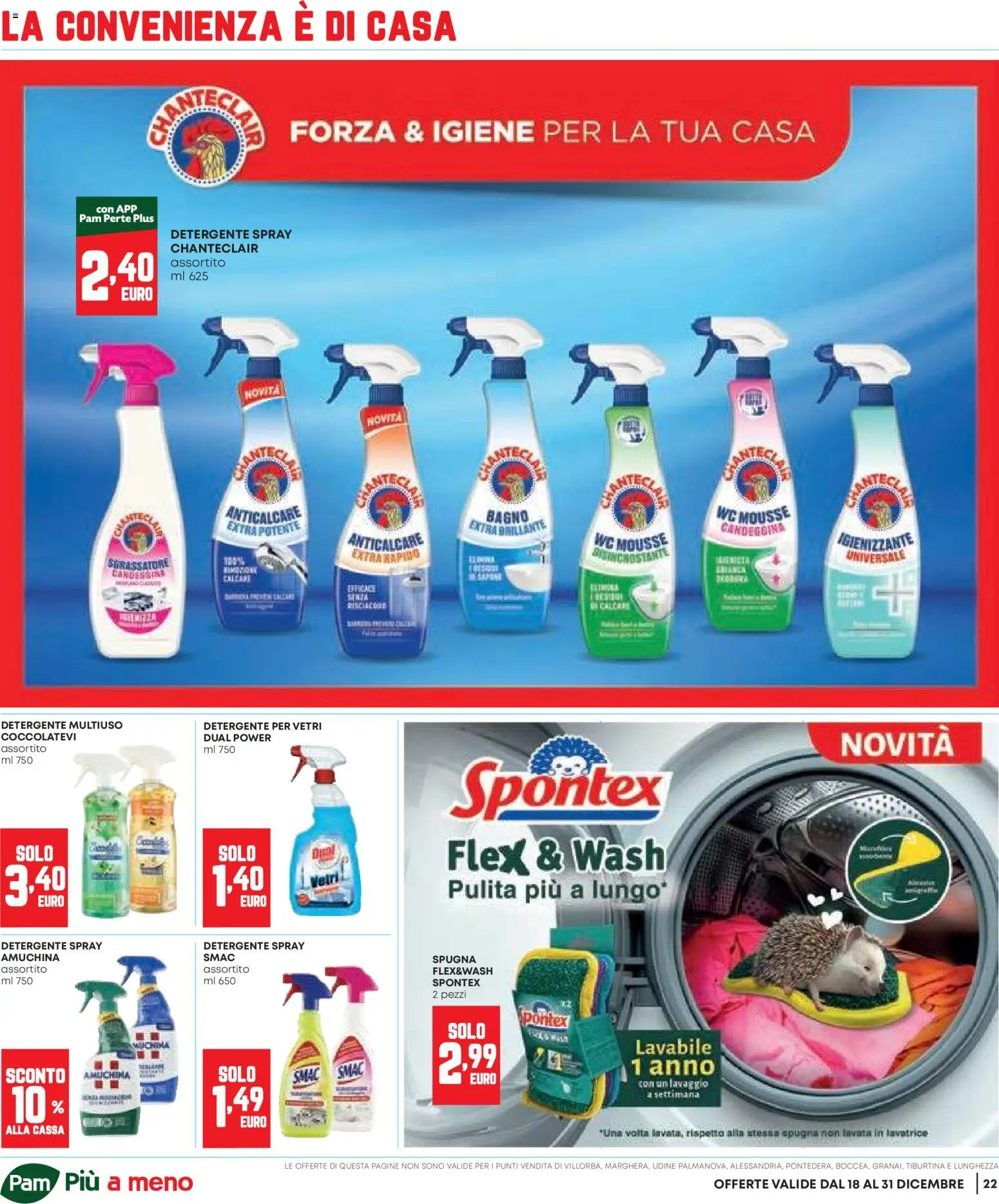 Volantino Panorama del 18.12.2025 | Pagina: 22 | Prodotti: Spugna, Detergente, Candeggina, Sgrassatore