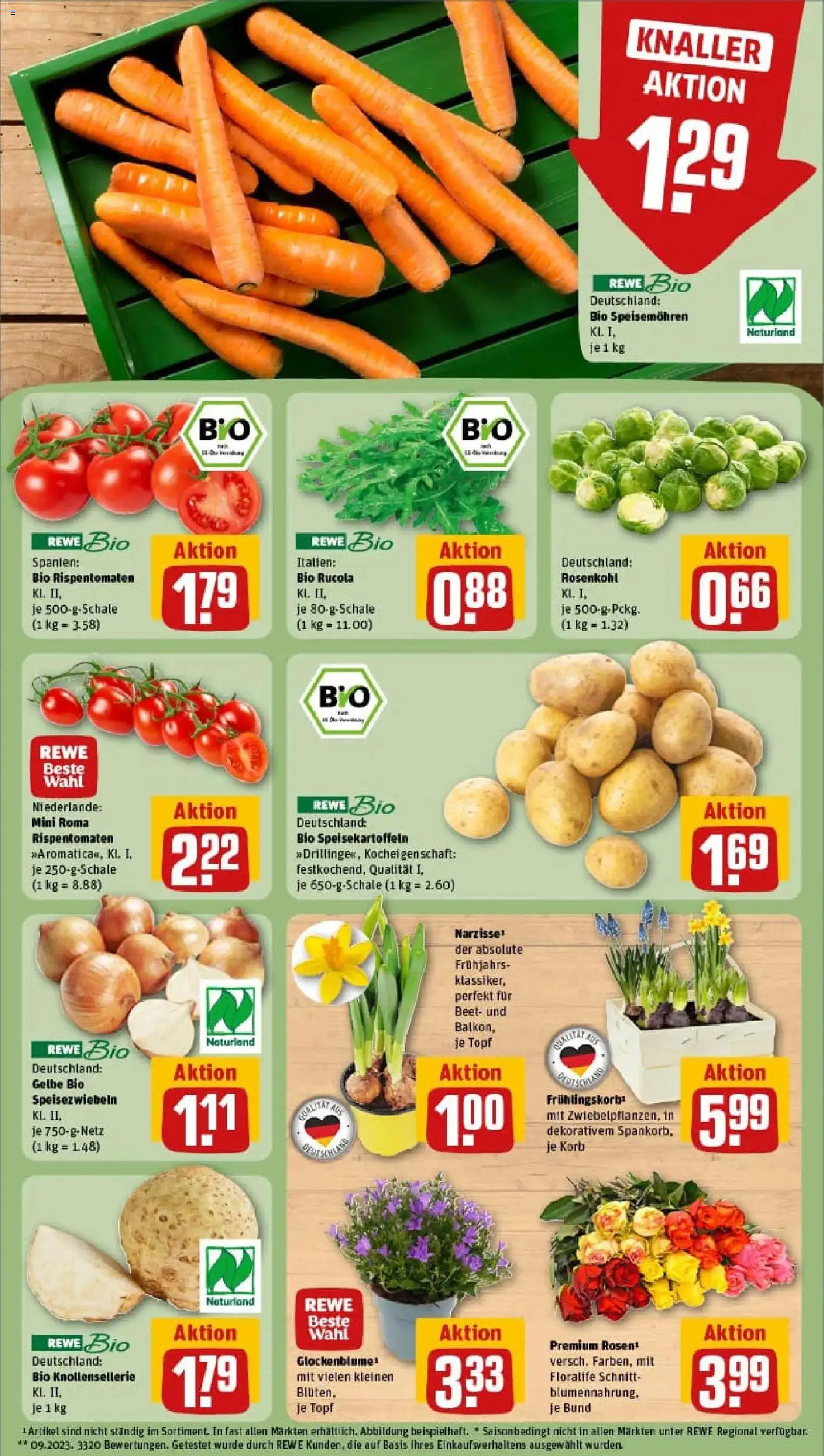 Rewe prospekt Rehfelde	 – gültig ab 11.01.2026 | Seite: 7 | Produkte: Rucola, Korb