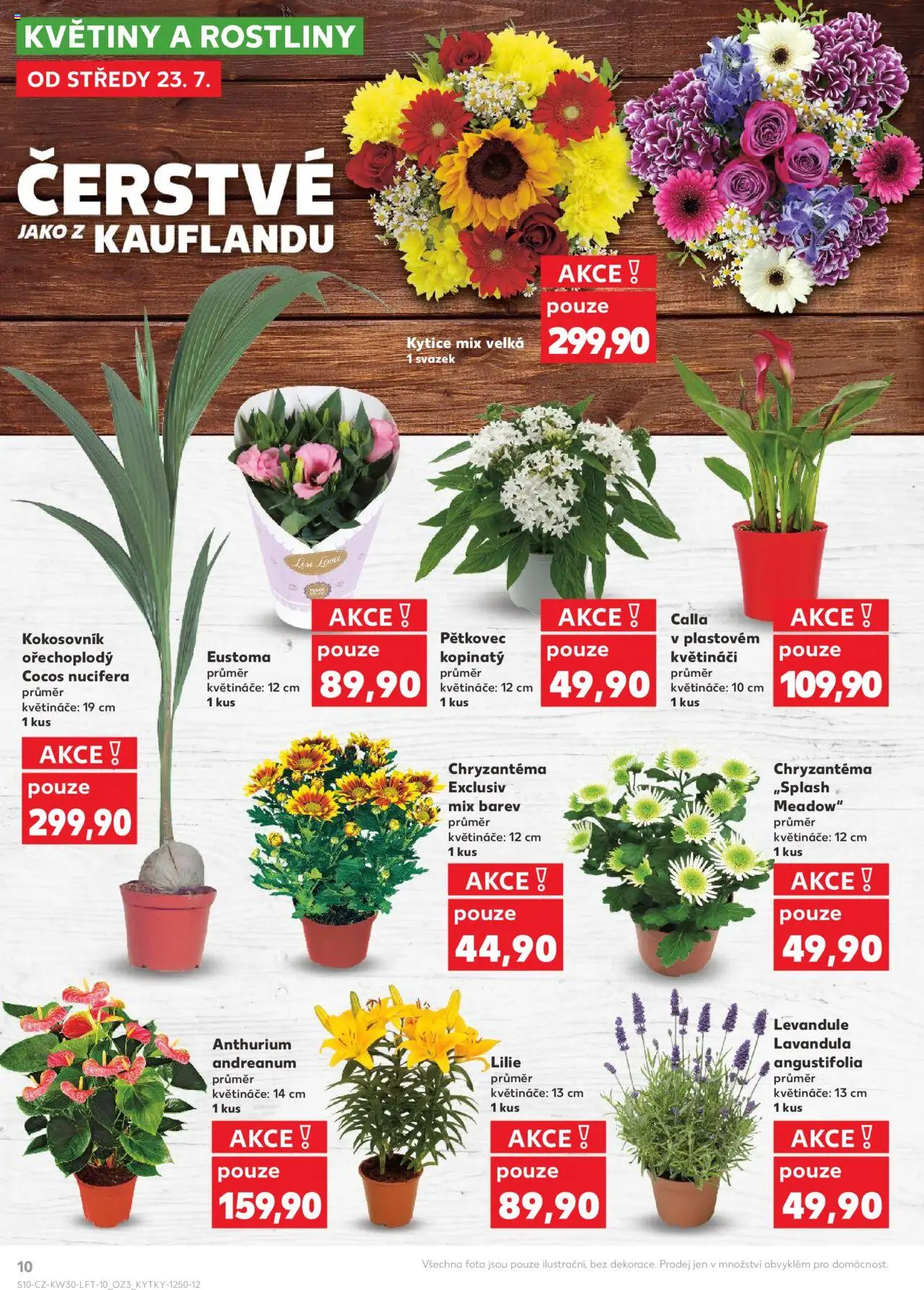 Kaufland leták - Praha 8 od 23.07.2025 | Strana: 10 | Produkty: Květináče, Rostliny, Kytice, Květiny