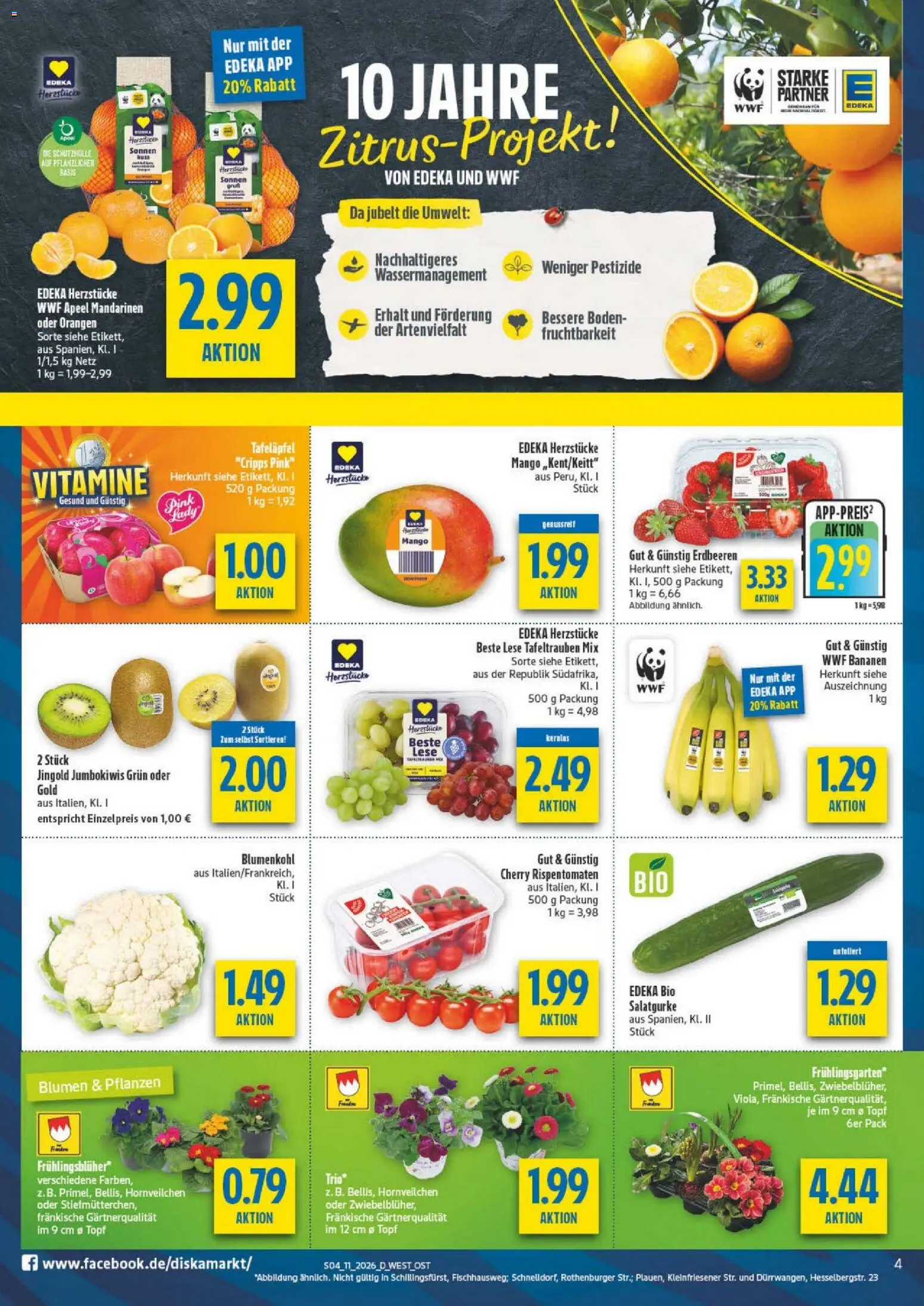 Diska - Diska Angebote Bayern KW11 – gültig ab 09.03.2026 | Seite: 4 | Produkte: Blumen, Mandarinen, Mango, Blumenkohl