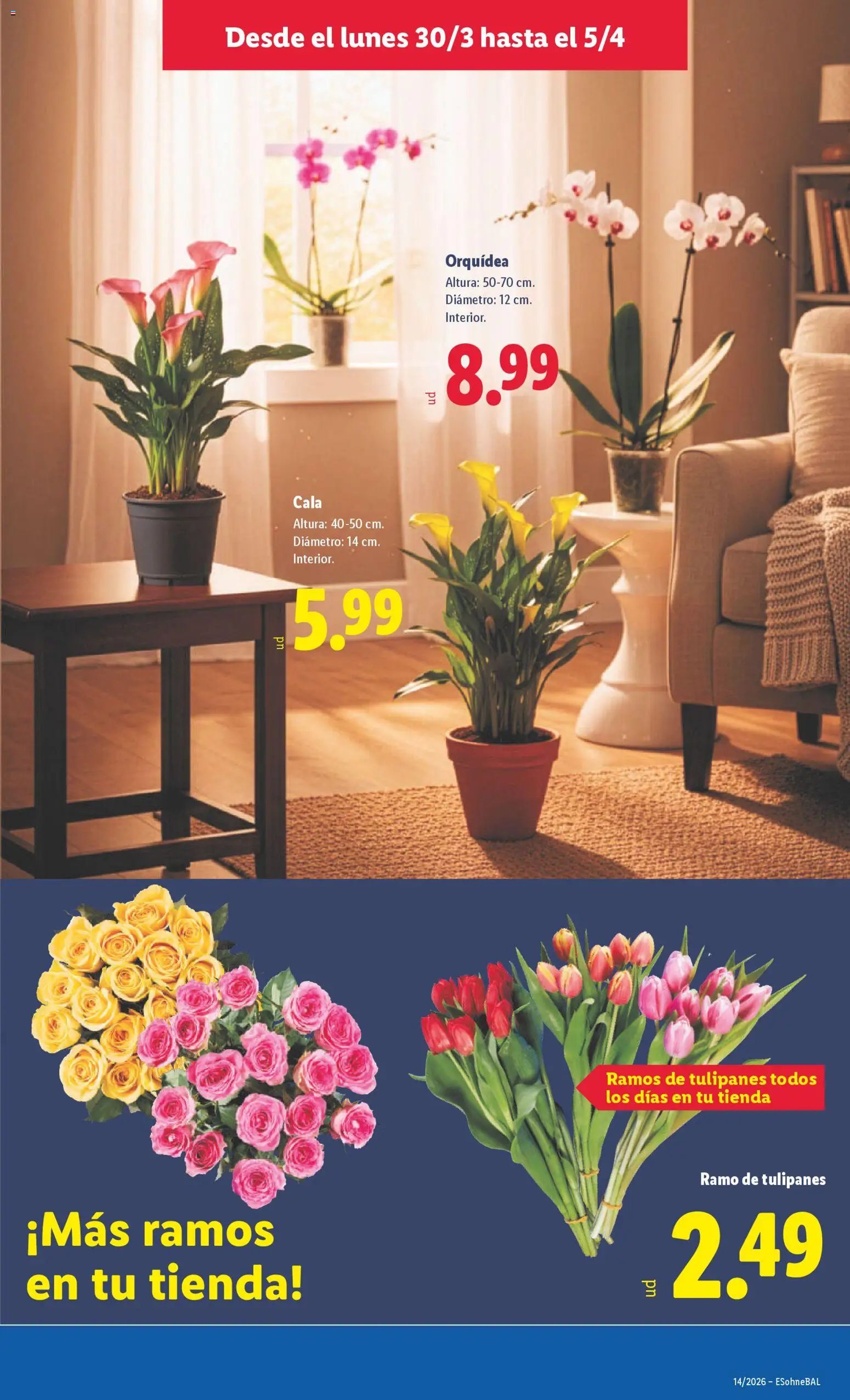 Lidl folleto │ válido desde el 30.03.2026 | Página: 45