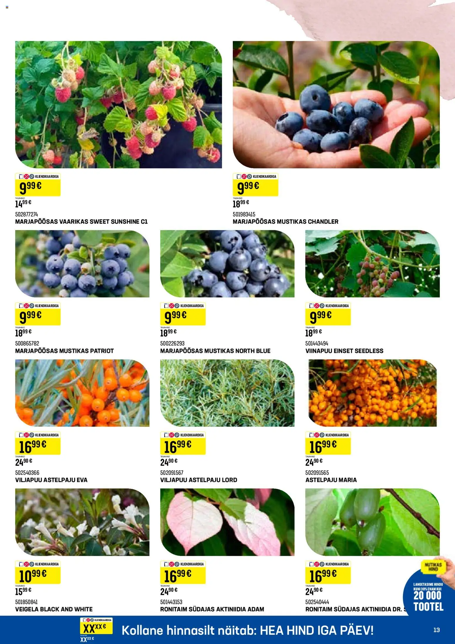 {H1} | Lehekülg: 13