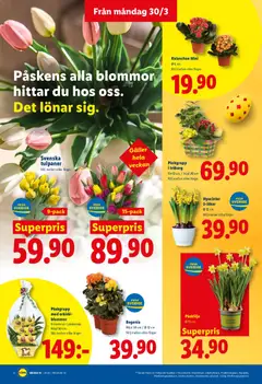 Lidl erbjudanden - Förhandsvisning av reklamblad från butik Lidl aktuell från 01.04.2026 | Sida: 14 | Produkter: Galler