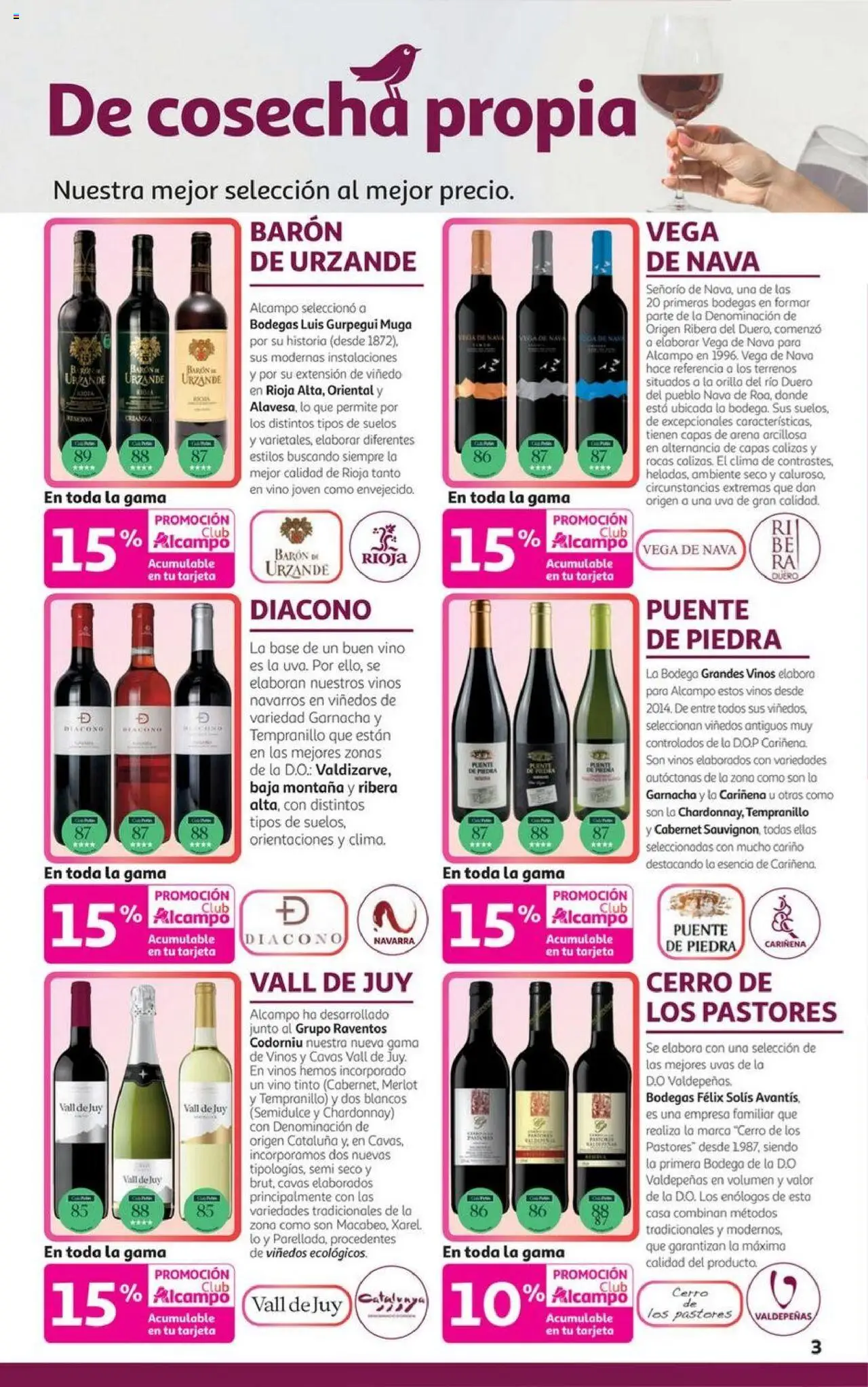 Alcampo - HP Castilla León │ válido desde el 06.10.2025 | Página: 3 | Productos: Τζίντζερ, Vino