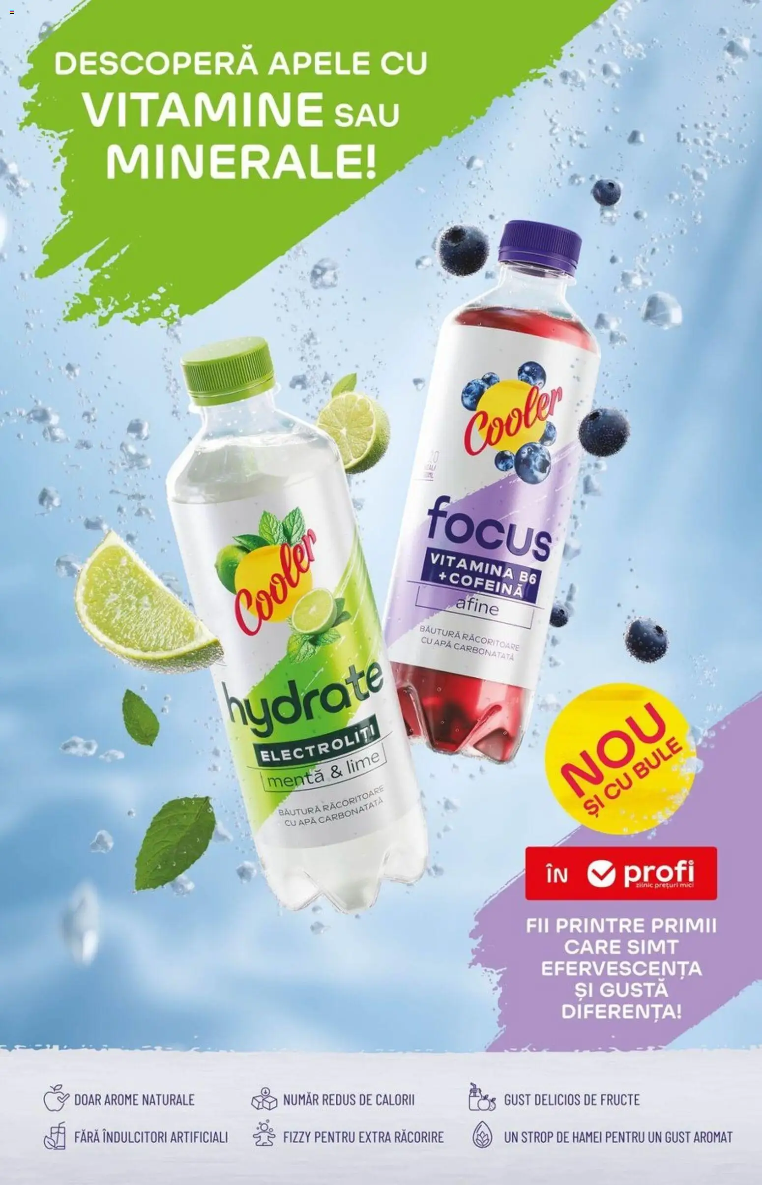 Noul catalog Profi – valabil de la 15.04.2026 | Pagină: 15 | Produse: Afine, Mici, Apă, Fructe