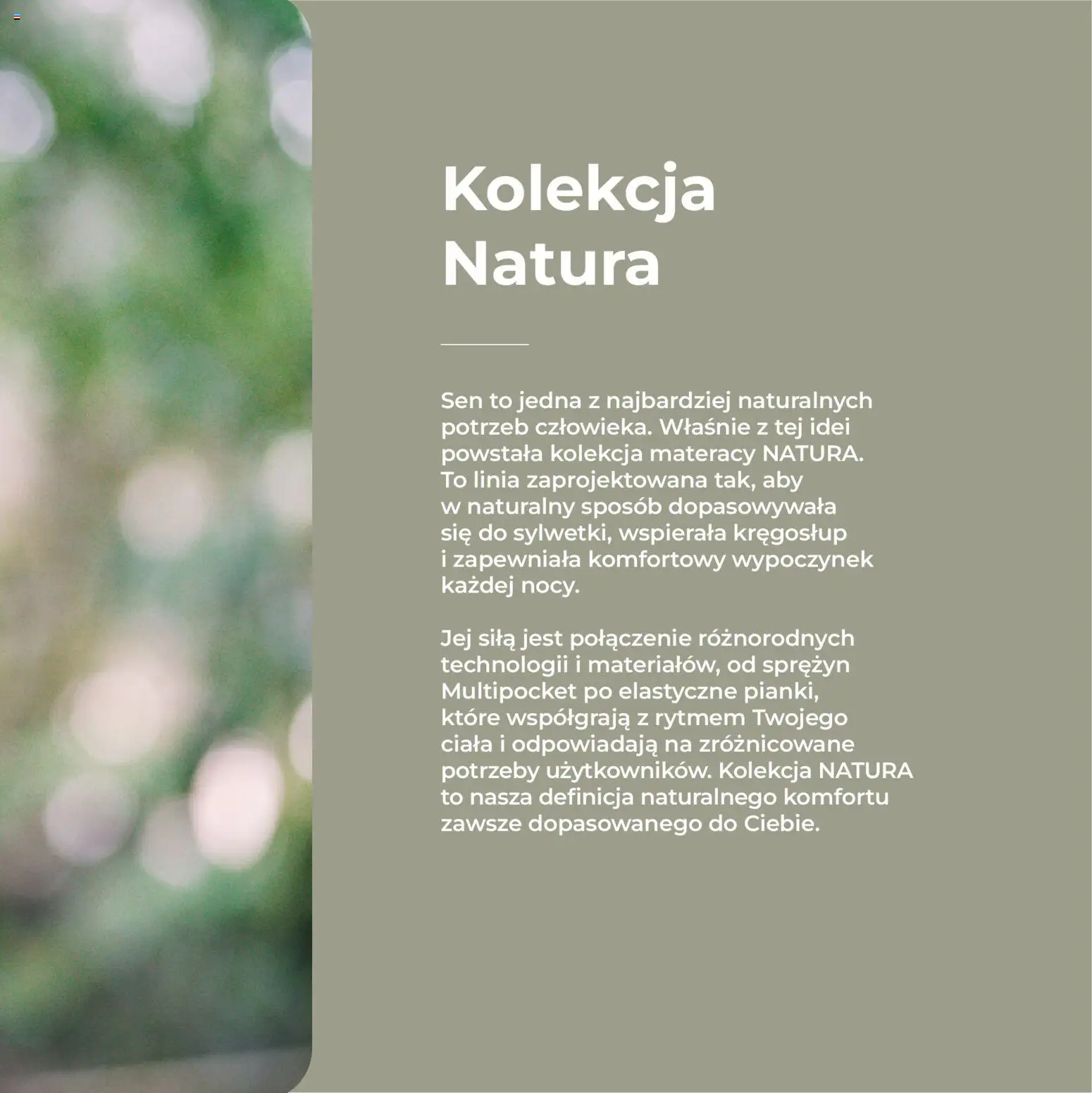 Salony Agata Gazetka - Natura od 27.01.2026 | Strona: 7