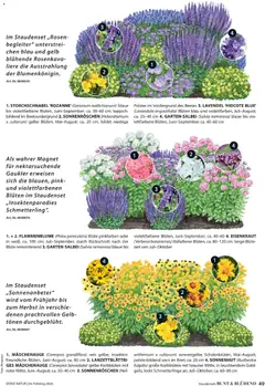 Dehner Prospekt 	 ab 04.03.2026 gültig | Seite: 49