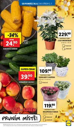 Lidl leták od 30.06.2025 | Strana: 9 | Produkty: Kalanchoe, Okurky