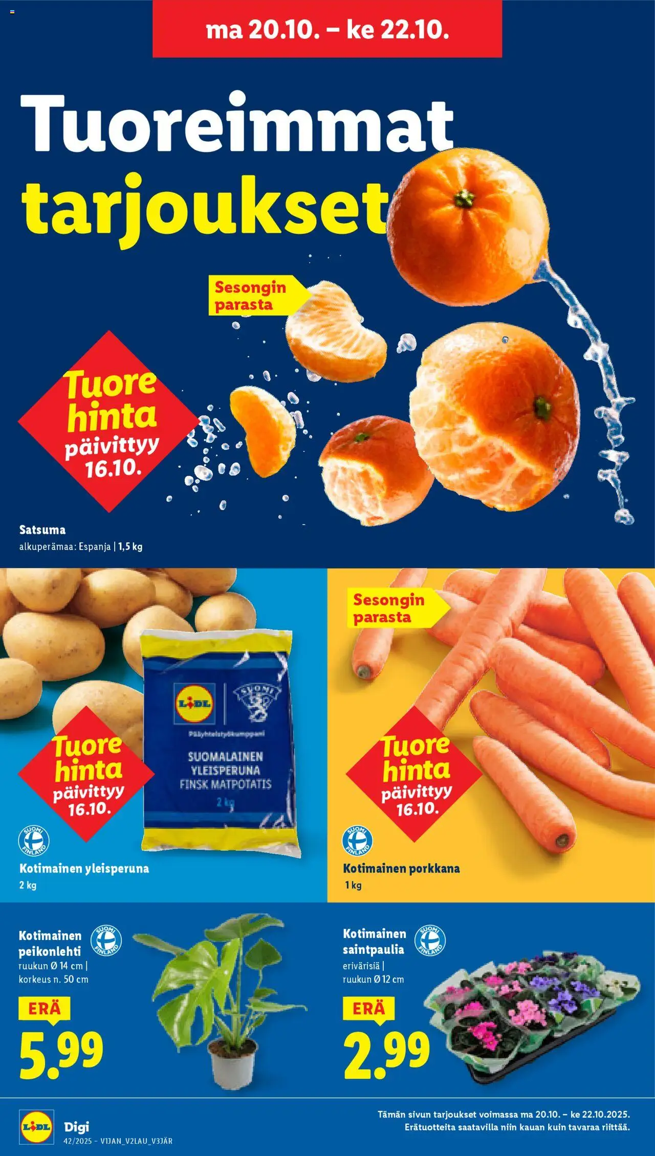 Lidl tarjoukset - Rovaniemi – voimassa 16.10.2025 alkaen | Sivu: 25 | Tuotteet: Satsuma, Porkkana