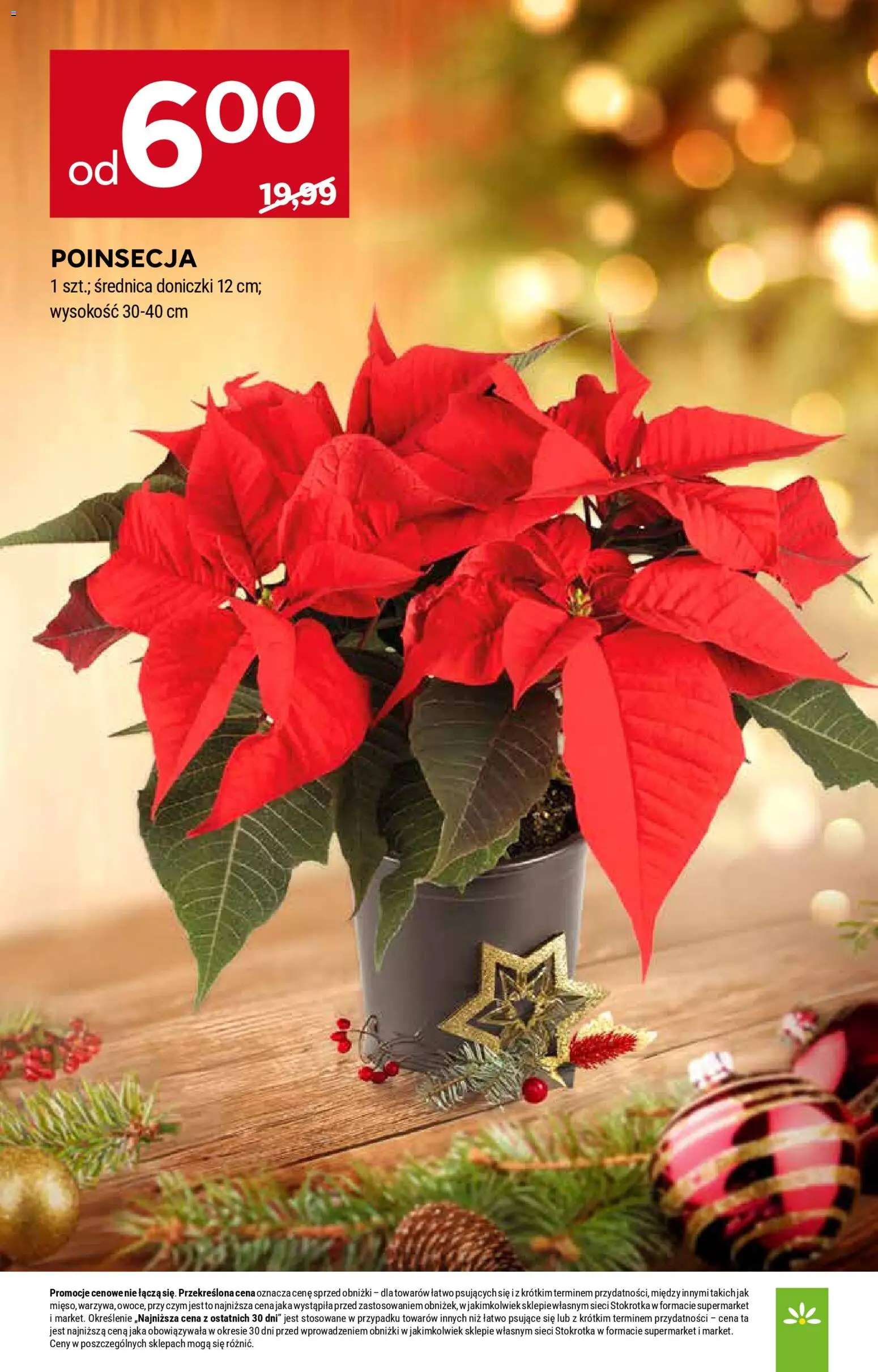 Stokrotka Gazetka od 18.12.2025 | Strona: 49 | Produkty: Stokrotka, Doniczki