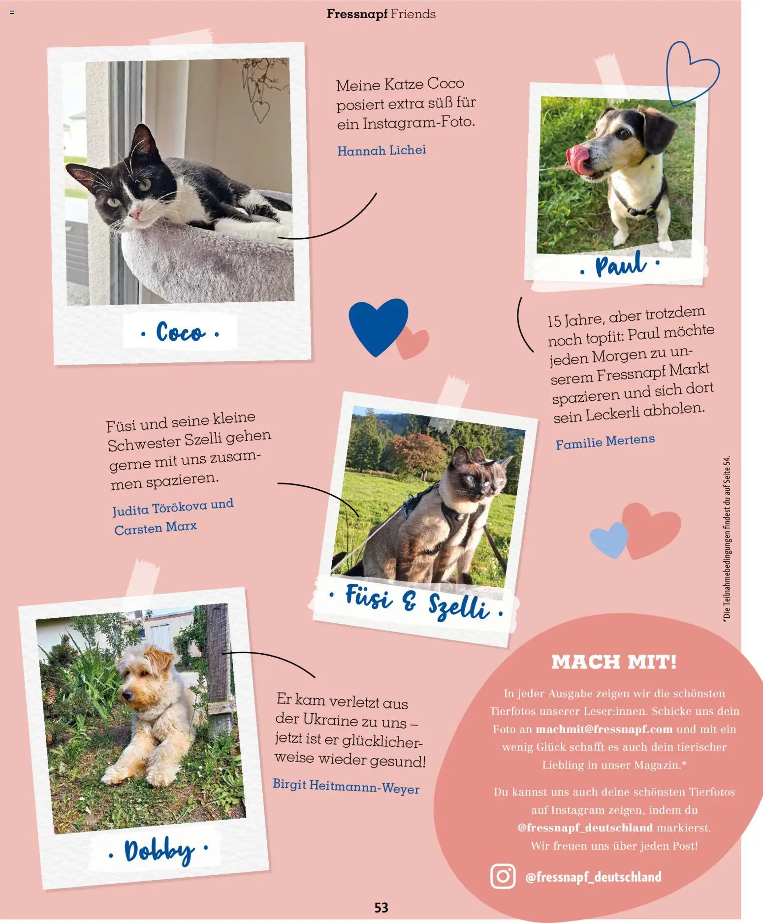 Fressnapf Friends Magazin – gültig ab 02.03.2026 | Seite: 53