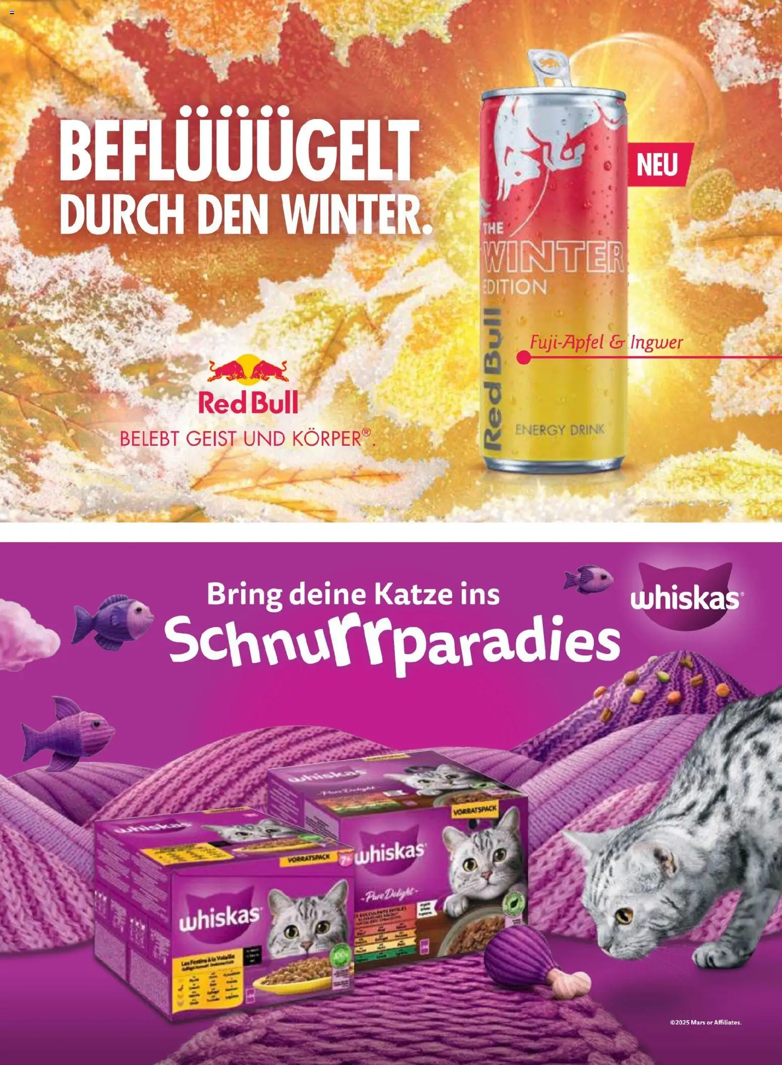 Penny Markt  So Schmeckt's - Winter 2025 gültig ab 09.11.2025 | Seite: 59