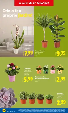 Pré-visualização Lidl Novidades válido de 16.02.2026 | Página: 18