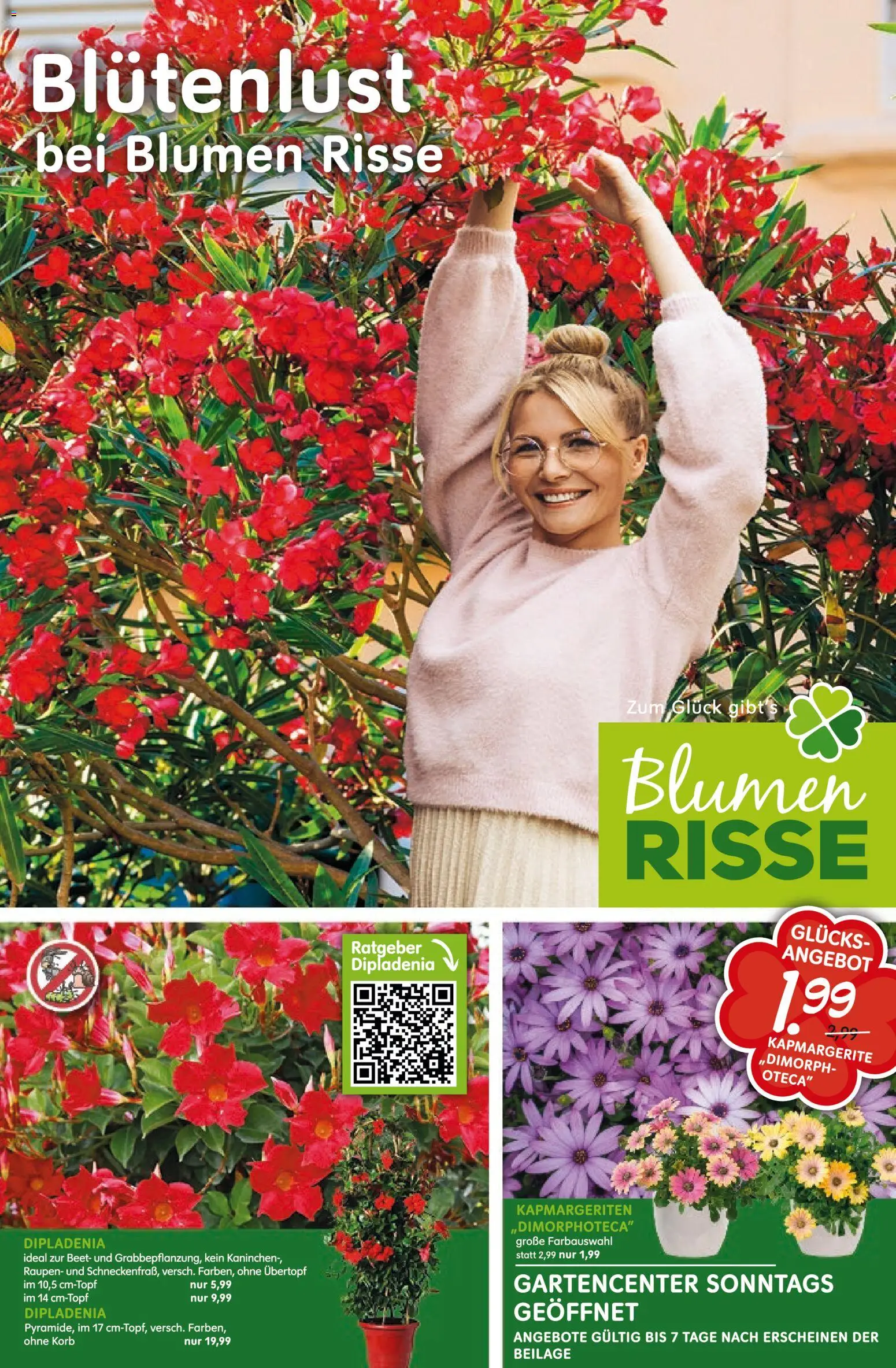 Blumen Risse Prospekt 	 – gültig ab 16.04.2026 | Seite: 1 | Produkte: Kaninchen, Korb, Blumen