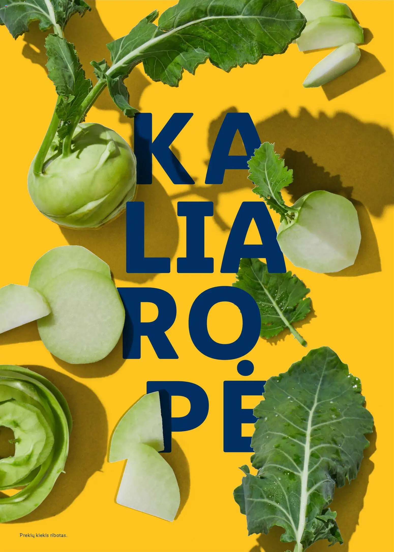 LIDL akcijos nuo 23.02.2026 | Puslapis: 70