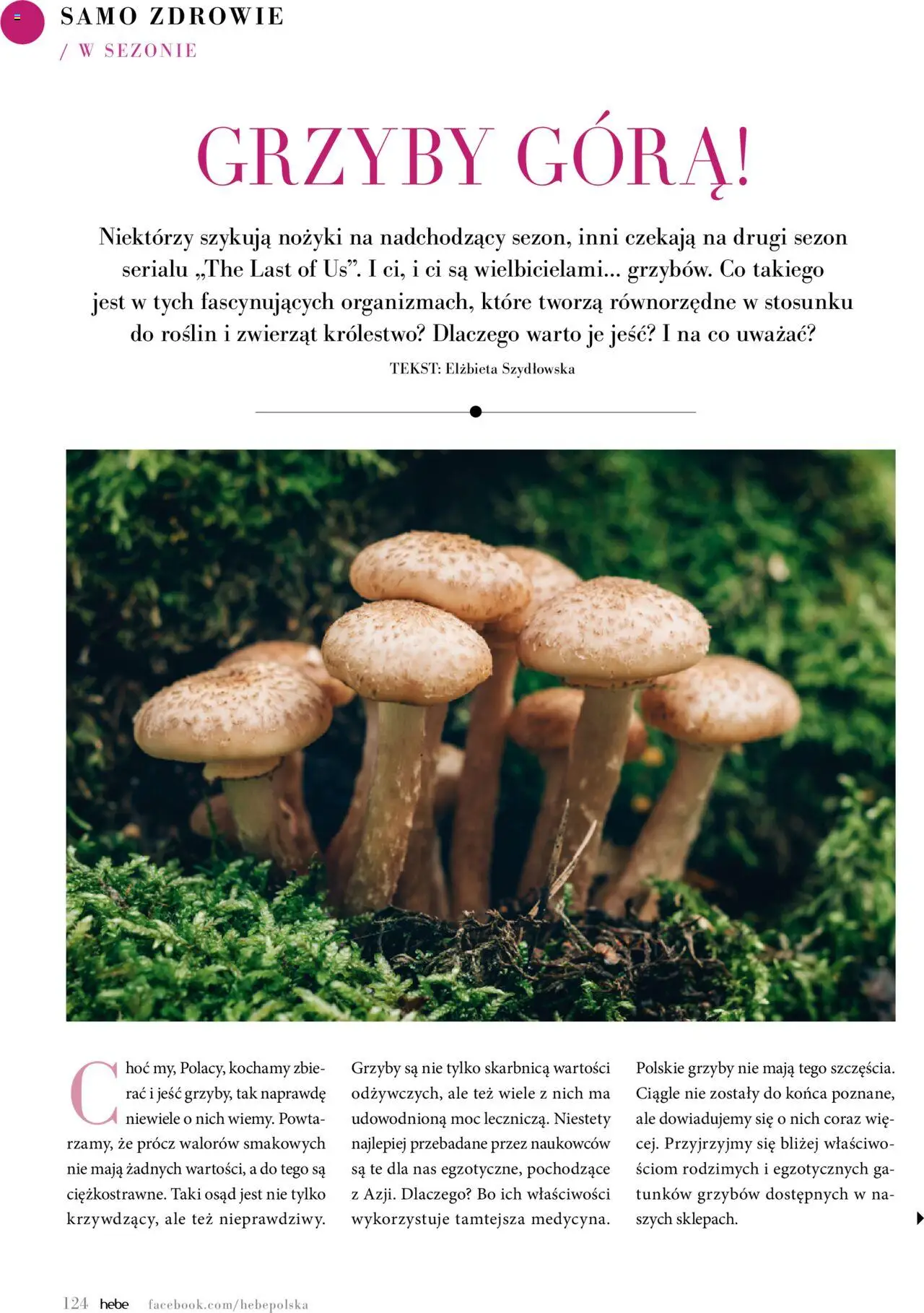 Hebe Gazetka - Magazyn od 01.05.2025 | Strona: 124