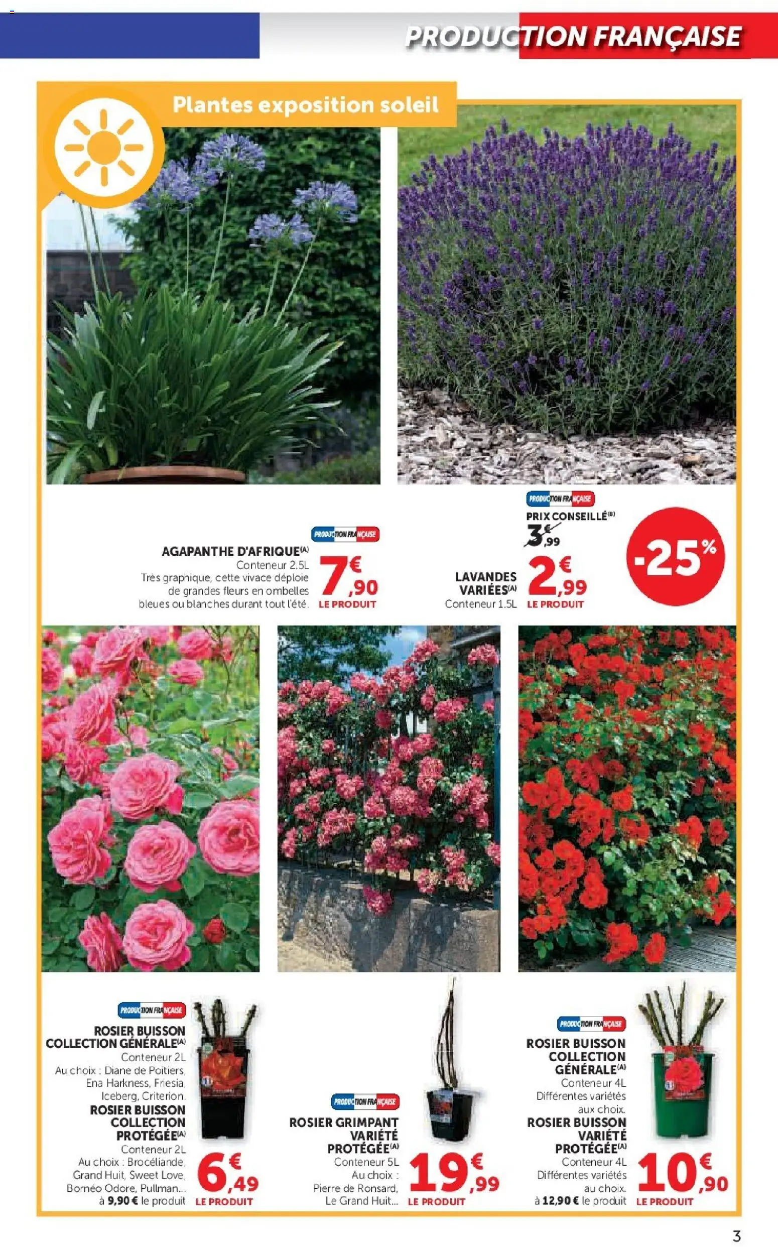 {H1} | Page: 3 | Produits: Rosier, Plantes