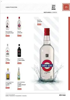 Pré-visualização Recheio AS NOSSAS MARCAS válido de 19.12.2023 | Página: 175 | Produtos: Rum, Licor, Gin, Vodka