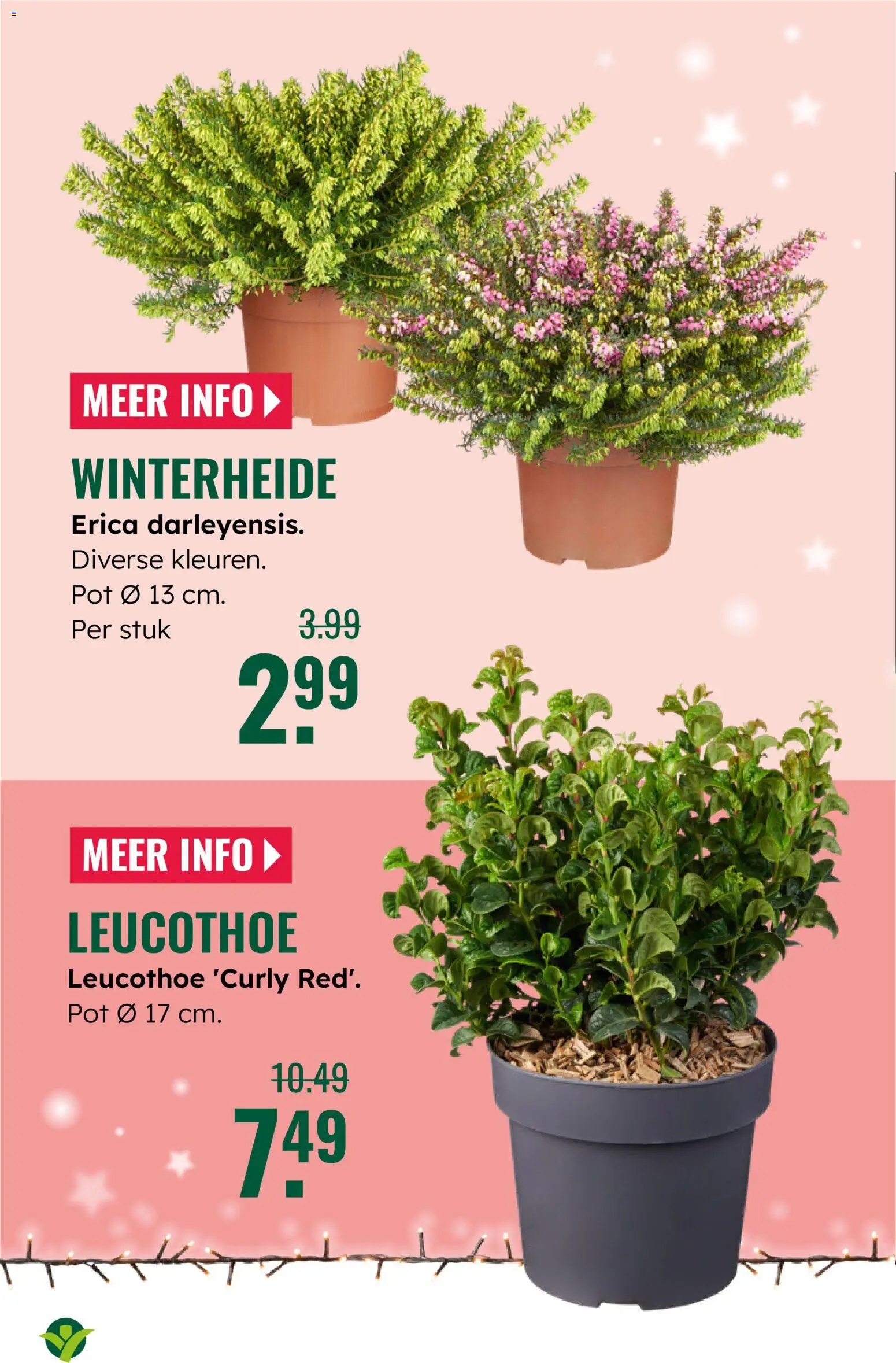 {H1} | Pagina: 16 | Producten: Pot