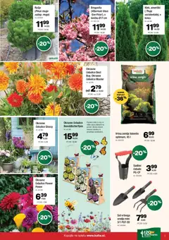 Kalia katalog akcije – veljaven od 09.02.2026 | Stran: 7 | Izdelki: Žemlja