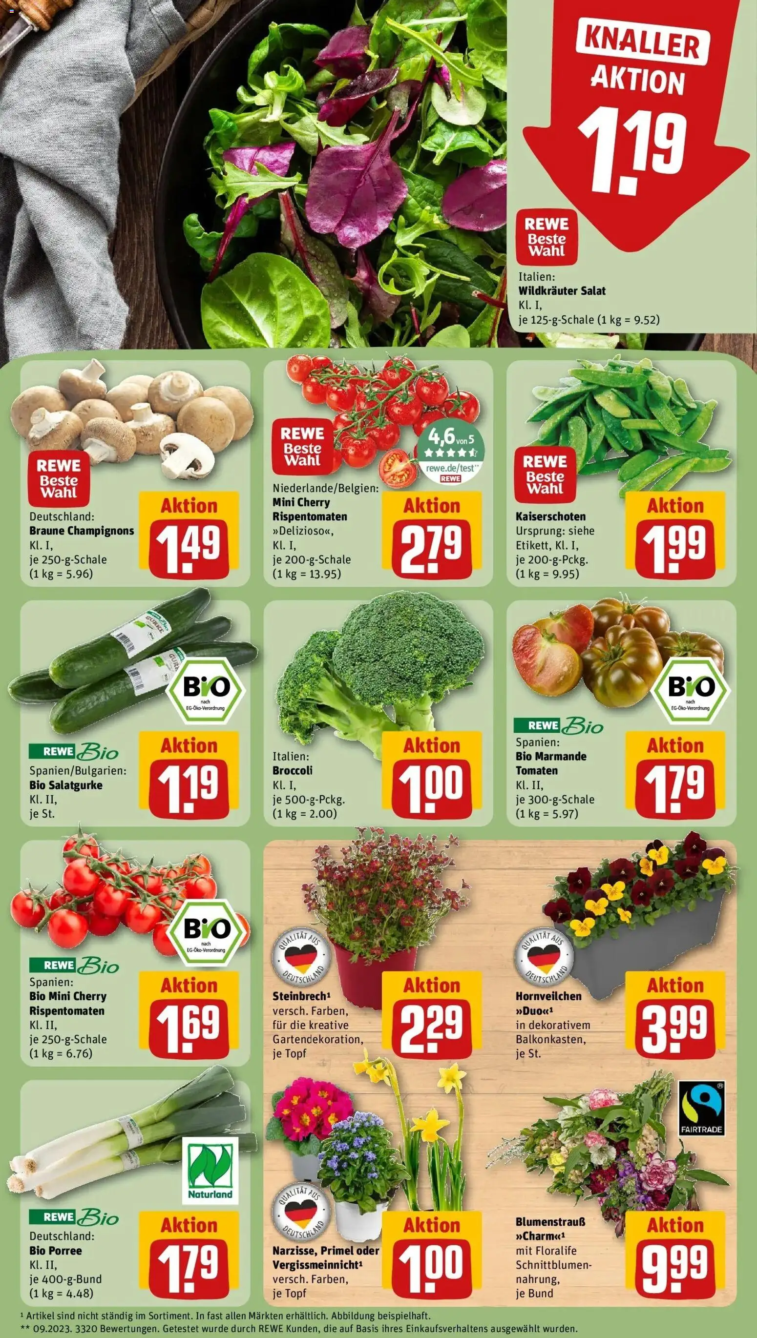 Rewe Prospekt Kappeln	 – gültig ab 09.03.2026 | Seite: 7 | Produkte: Tomaten, Champignons, Salat