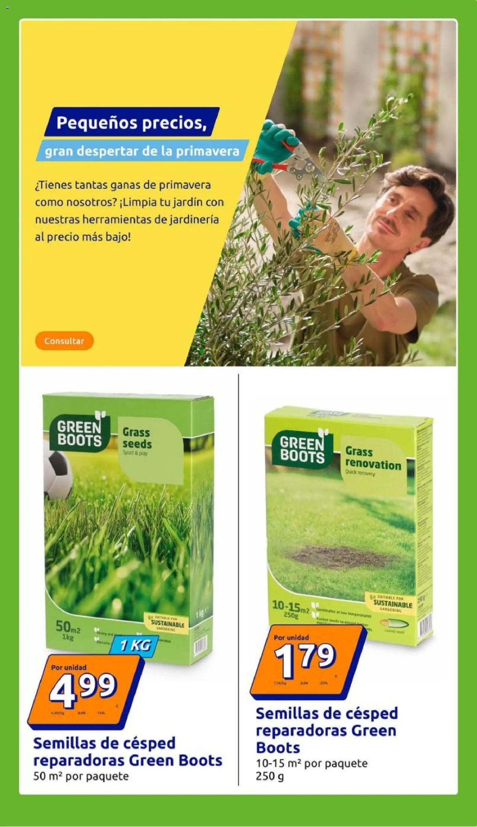 Action - Action ES week 5 2026 │ válido desde el 21.01.2026 | Página: 17