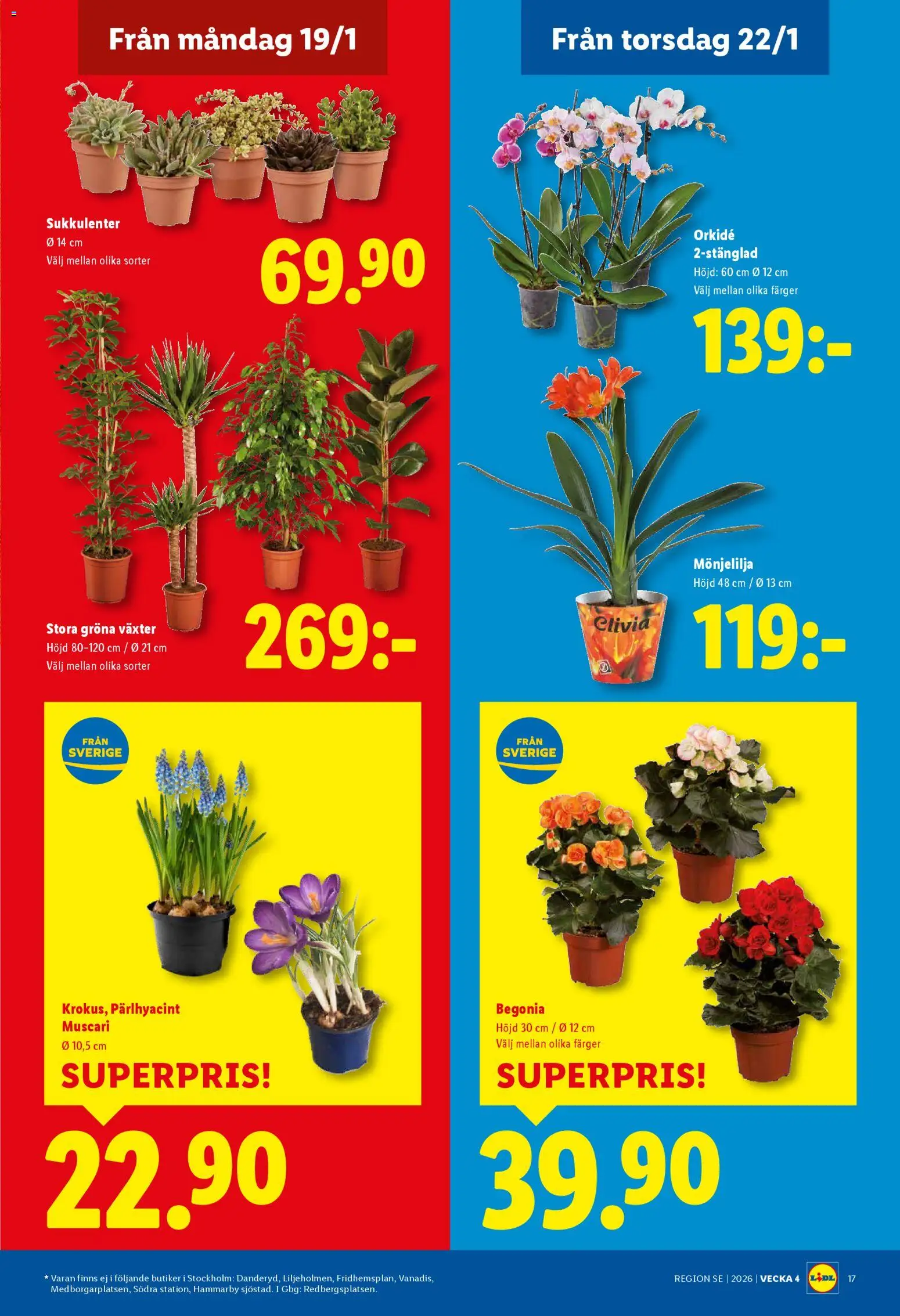 Lidl reklamblad aktuell från 19.01.2026 | Sida: 20