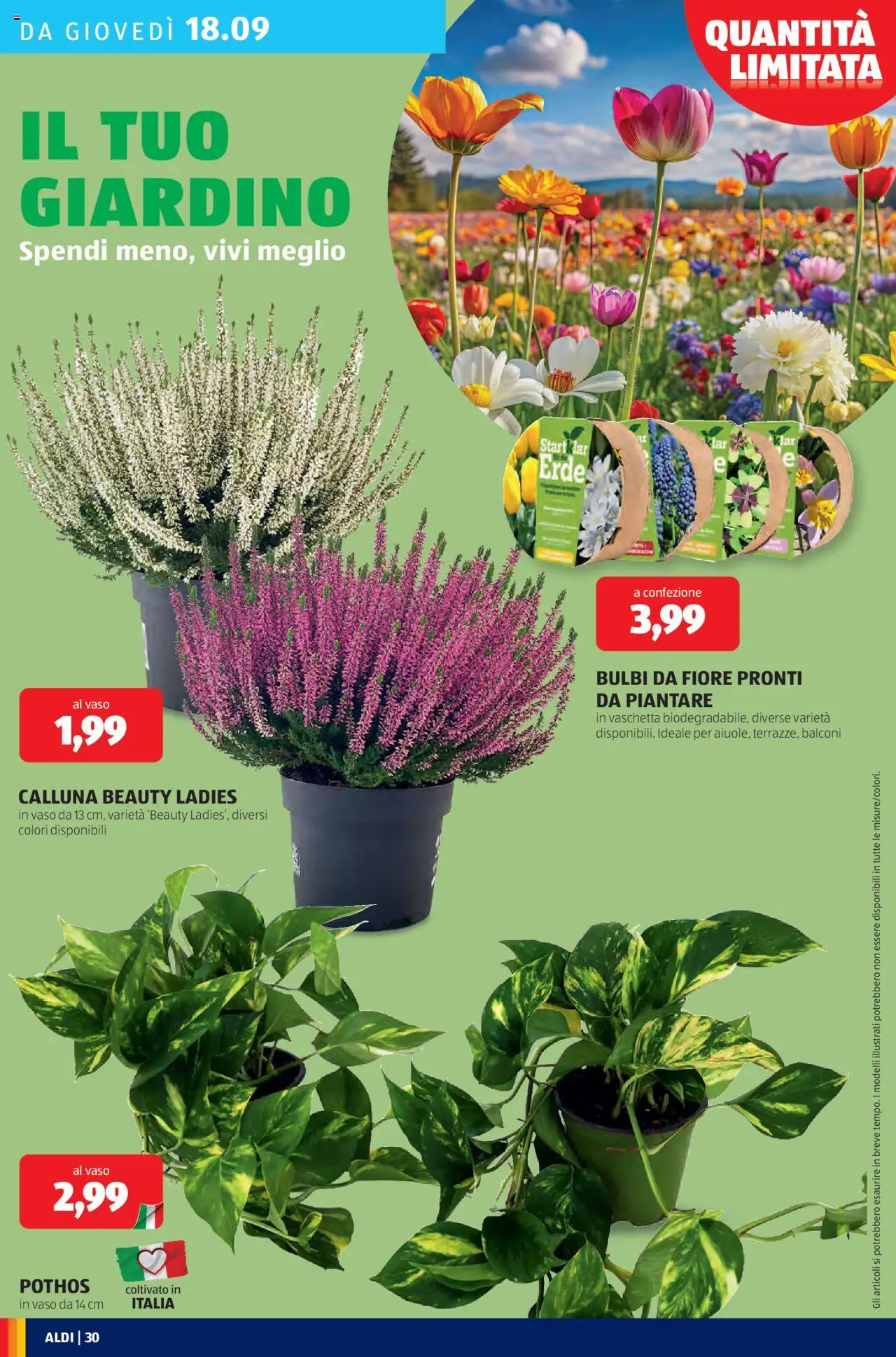 Volantino Aldi del 15.09.2025 | Pagina: 30 | Prodotti: Vaso