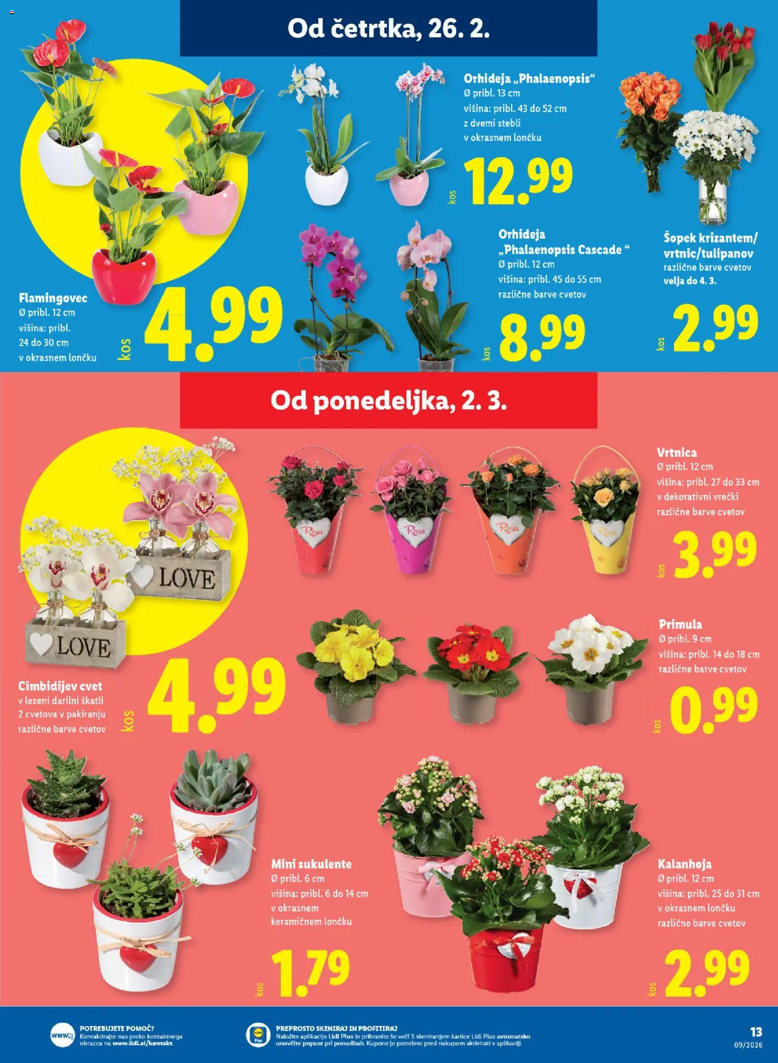 Novi Lidl katalog ponudbe – veljaven od 26.02.2026 | Stran: 21 | Izdelki: Šopek