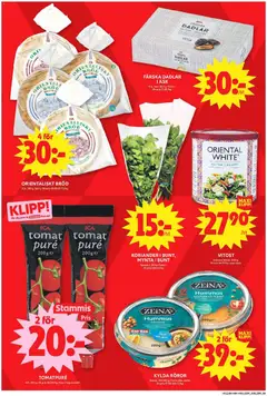 KORIANDER I BUNT, MYNTA I BUNT, Spanien. 100 g. Klass 1. - Förhandsvisning av reklamblad från butik ICA Maxi aktuell från 16.03.2026 | Sida: 12