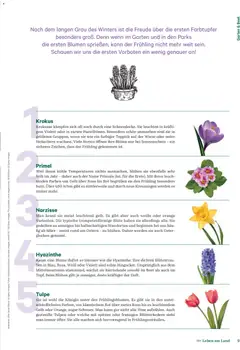 Lagerhaus Fürs Leben am Land ab 01.02.2026 gültig | Seite: 9 | Produkte: Teppich