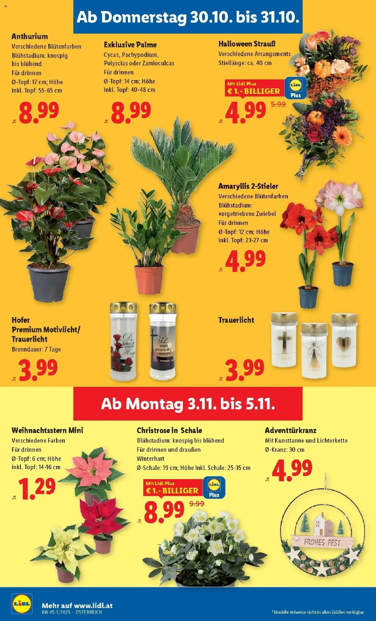 Lidl Flugblatt - Jenbach, Eferding, Dornbirn gültig ab 30.10.2025 | Seite: 26