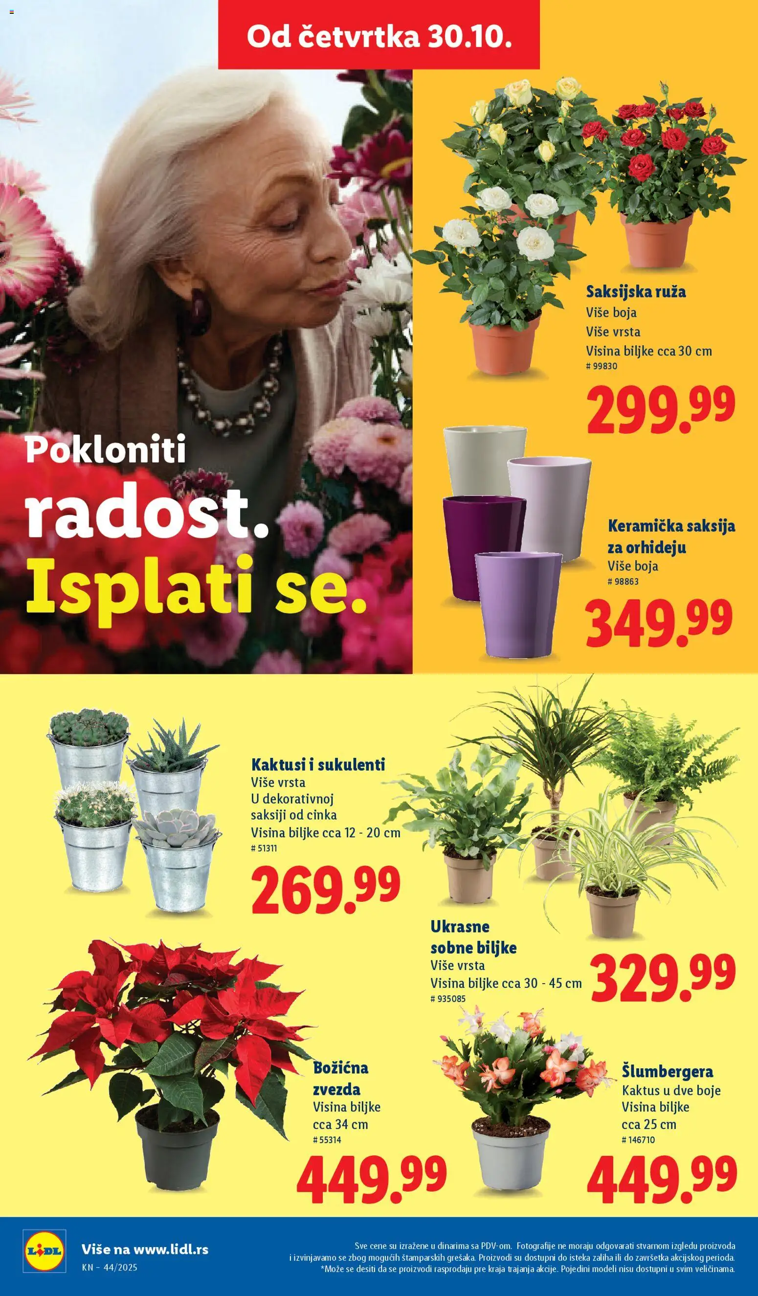 Lidl katalog - važi od 30.10.2025 | Strana: 54 | Proizvode: Saksija, Sobne biljke