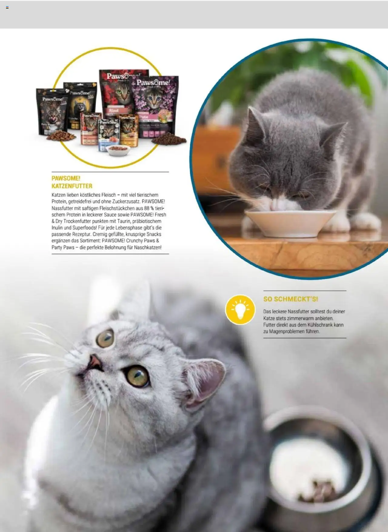 zookauf Themenkatalog Katze – gültig ab 01.10.2025 | Seite: 15 | Produkte: Pute, Katzenfutter, Kühlschrank, Fleisch