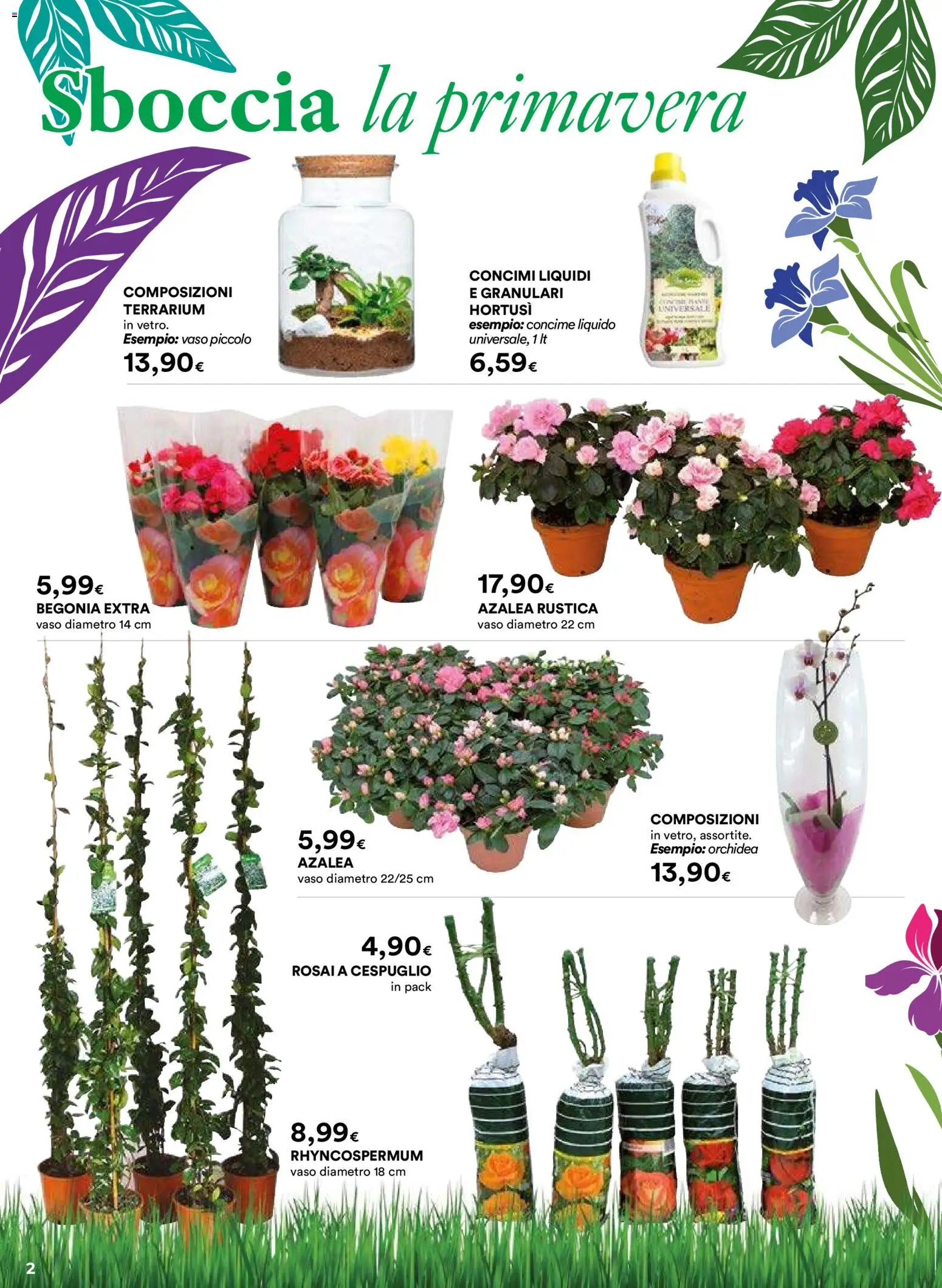 Volantino Ipercoop del 26.02.2026 | Pagina: 2 | Prodotti: Concime, Orchidea, Vaso