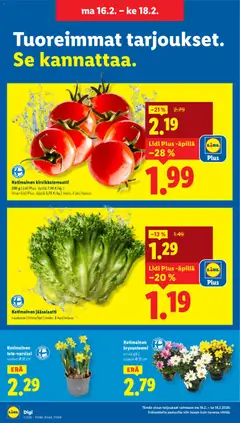 Lidl-mainoslehti voimassa 12.02.2026 alkaen | Sivu: 19 | Tuotteet: Kirsikkatomaatti