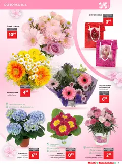 Spar katalog akcije – veljaven od 18.03.2026 | Stran: 3 | Izdelki: Šopek