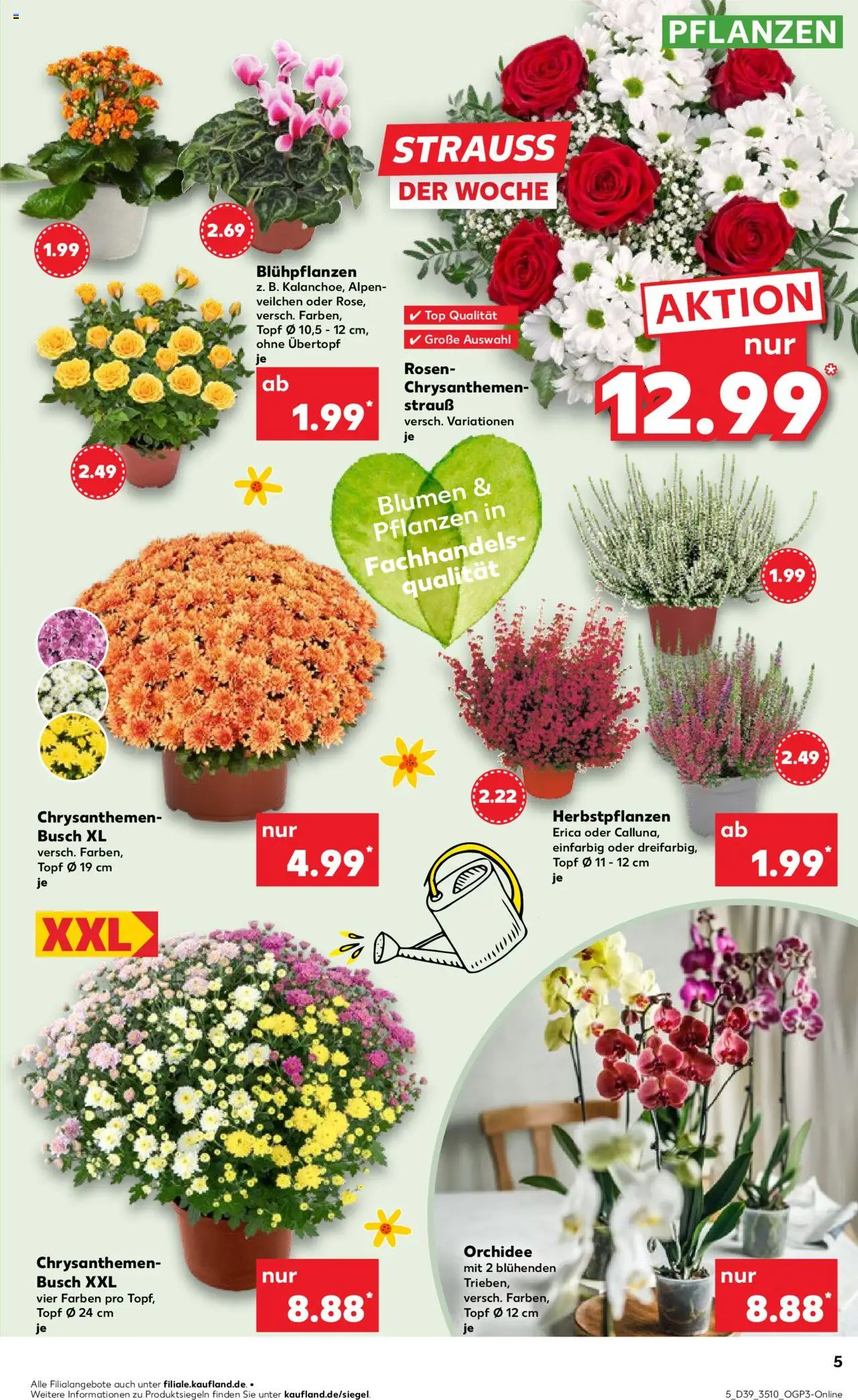 Kaufland prospekt Zeitz	 – gültig ab 25.09.2025 | Seite: 5 | Produkte: Top, Orchidee, Blumen