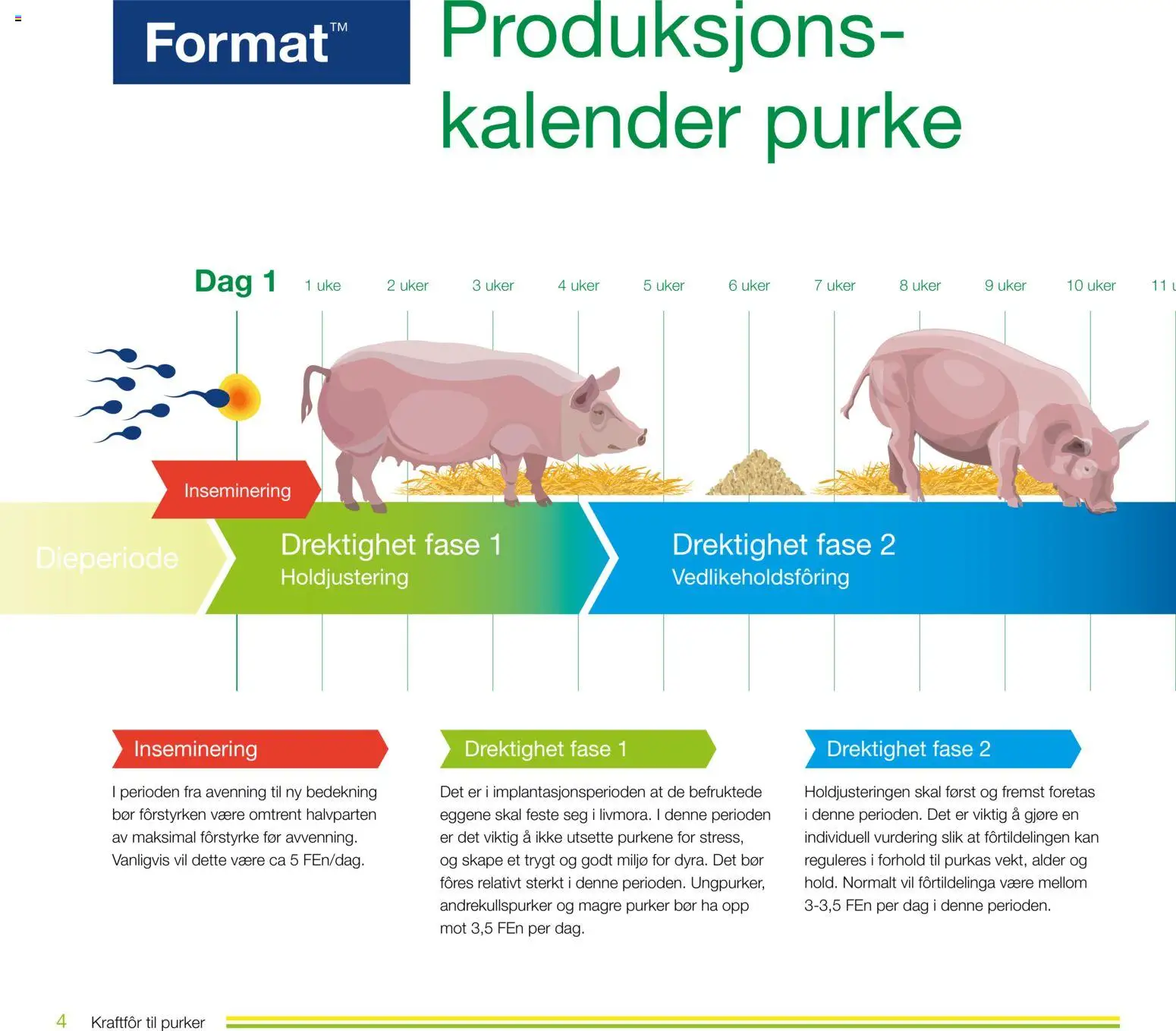 {H1} | Side: 4 | Produkter: Суміш дитяча