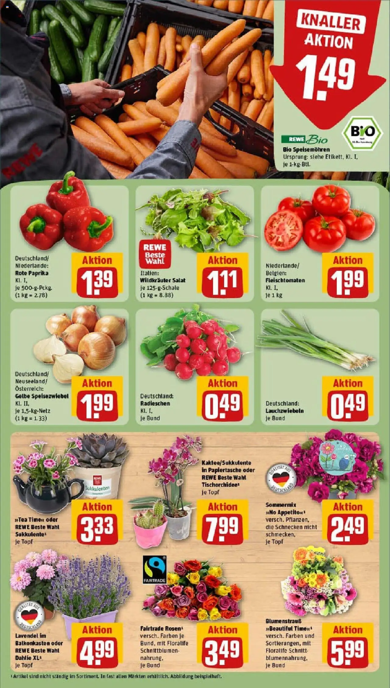 Rewe prospekt Frankenberg (Eder)	 - gültig ab dem 29.06.2025 | Seite: 9 | Produkte: Paprika, Lavendel, Salat