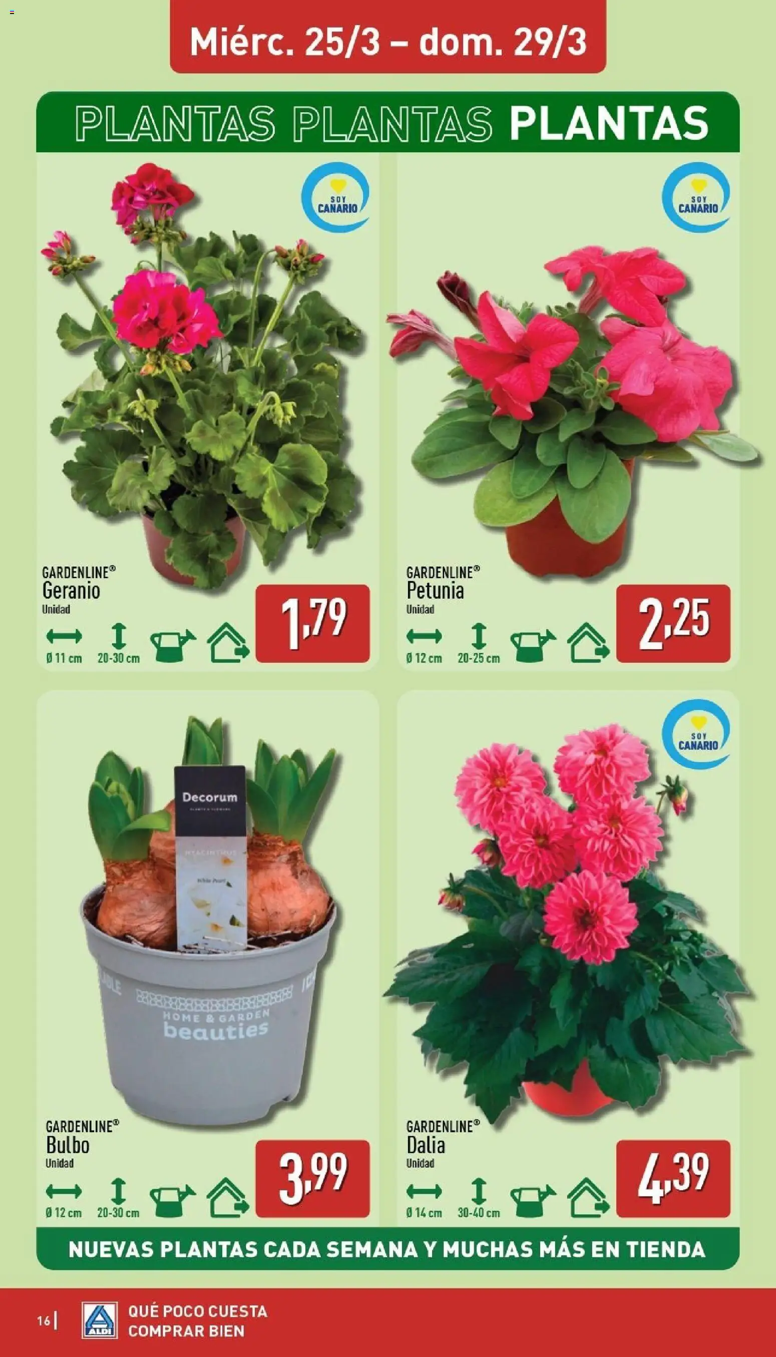 Aldi folleto Canarias │ válido desde el 23.03.2026 | Página: 16