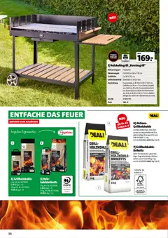 Hagebau Gartenjahr ab 13.03.2026 gültig | Seite: 36 | Produkte: Grill